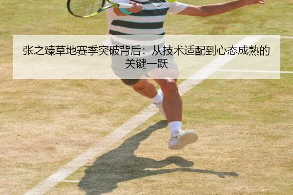 张之臻草地赛季突破背后：从技术适配到心态成熟的关键一跃